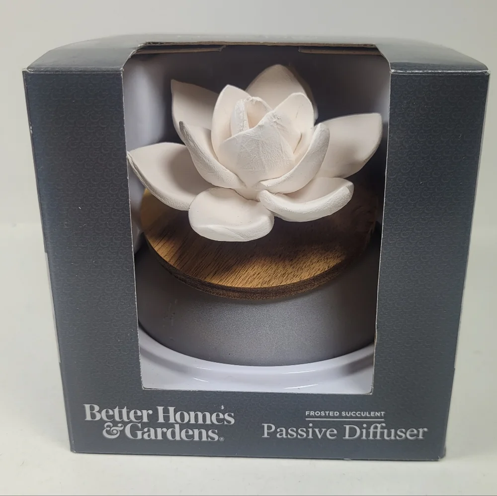Better Homes & Gardens Frosted Succulent Passive Diffuser